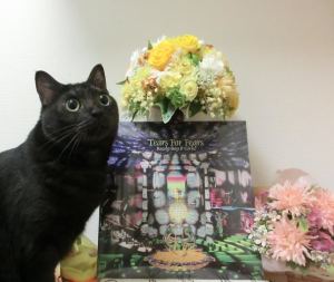 Manami's cat is in on it too! Meow Happy Birthday, Good Man, meow!