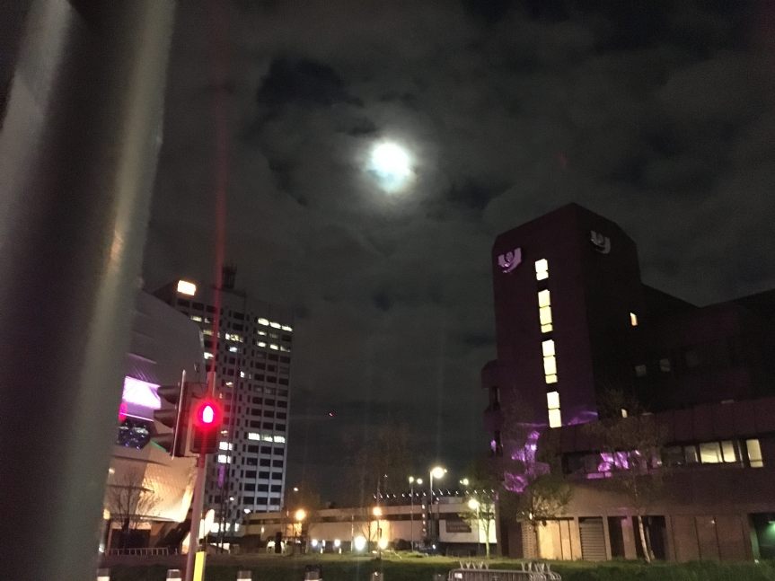 34723645_1646936812027083_244170454145695744_n